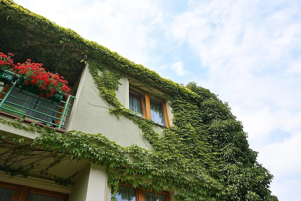 Zielony Domek Hostel Gdansk Poland